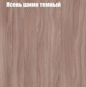 Шкаф-купе «ТАНДЕМ» 2-х дверный в алюминиевом профиле (Дверь ЛДСП+Z) 1800/h2200 в Нефтекамске - neftekamsk.ok-mebel.com | фото 7