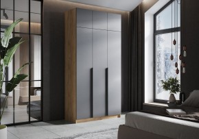Шкаф платяной Широн в Нефтекамске - neftekamsk.ok-mebel.com | фото 4