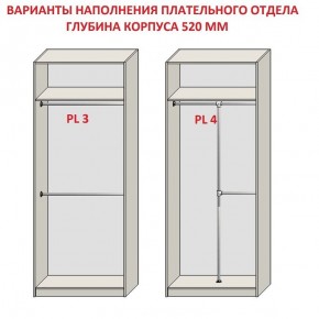 Шкаф распашной серия «ЗЕВС» (PL3/С1/PL2) в Нефтекамске - neftekamsk.ok-mebel.com | фото 10