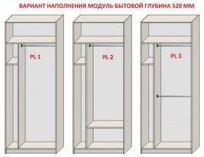 Шкаф распашной серия «ЗЕВС» (PL3/С1/PL2) в Нефтекамске - neftekamsk.ok-mebel.com | фото 5