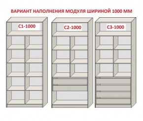 Шкаф распашной серия «ЗЕВС» (PL3/С1/PL2) в Нефтекамске - neftekamsk.ok-mebel.com | фото 7