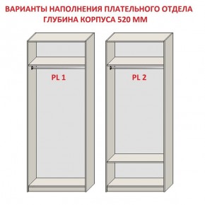 Шкаф распашной серия «ЗЕВС» (PL3/С1/PL2) в Нефтекамске - neftekamsk.ok-mebel.com | фото 9