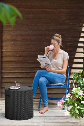 Столик-холодильник Кул-Стул (Cool stool) графит в Нефтекамске - neftekamsk.ok-mebel.com | фото