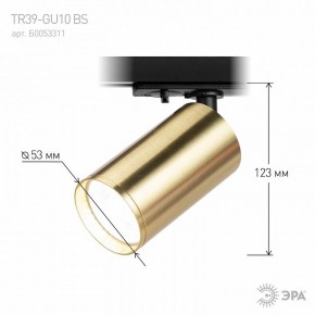 Светильник на штанге Эра  TR39-GU10 BS в Нефтекамске - neftekamsk.ok-mebel.com | фото 6