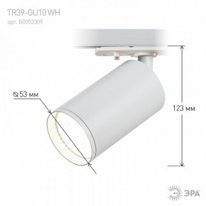 Светильник на штанге Эра  TR39-GU10 WH в Нефтекамске - neftekamsk.ok-mebel.com | фото 7