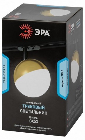Светильник на штанге Эра  TR42-GX53 BS в Нефтекамске - neftekamsk.ok-mebel.com | фото 6