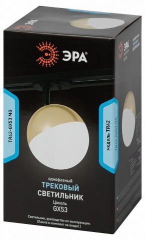 Светильник на штанге Эра  TR42-GX53 MG в Нефтекамске - neftekamsk.ok-mebel.com | фото 6