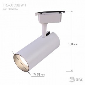 Светильник на штанге Эра  TR5-30 COB WH в Нефтекамске - neftekamsk.ok-mebel.com | фото 6