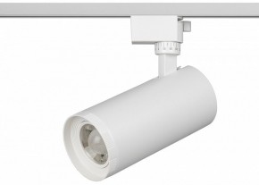 Светильник на штанге Эра  TR59 - 3030 WH в Нефтекамске - neftekamsk.ok-mebel.com | фото 2