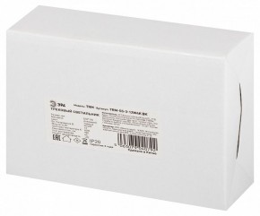 Светильник на штанге Эра  TRM-S5-3-12W4K-BK в Нефтекамске - neftekamsk.ok-mebel.com | фото 8