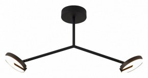Светильник на штанге Favourite Paritet 4401-2C в Нефтекамске - neftekamsk.ok-mebel.com | фото