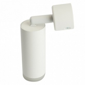 Светильник на штанге Feron ML1021 51390 в Нефтекамске - neftekamsk.ok-mebel.com | фото 3