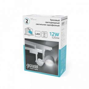 Светильник на штанге Gauss Track Light TR054 в Нефтекамске - neftekamsk.ok-mebel.com | фото 5