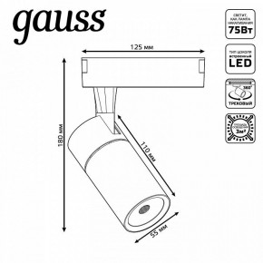 Светильник на штанге Gauss Track Light TR059 в Нефтекамске - neftekamsk.ok-mebel.com | фото 6