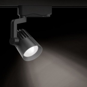 Светильник на штанге Gauss Track Light TR061 в Нефтекамске - neftekamsk.ok-mebel.com | фото 2