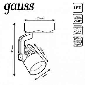 Светильник на штанге Gauss Track Light TR061 в Нефтекамске - neftekamsk.ok-mebel.com | фото 6