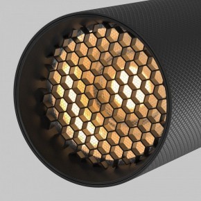 Светильник на штанге Maytoni Artisan TR097-2-12W2.7K-M-BB в Нефтекамске - neftekamsk.ok-mebel.com | фото 11