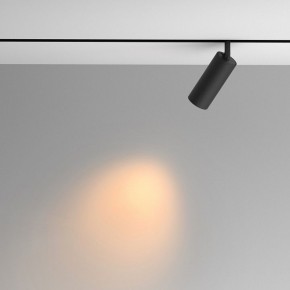 Светильник на штанге Maytoni Artisan TR097-2-12W2.7K-M-BB в Нефтекамске - neftekamsk.ok-mebel.com | фото 4