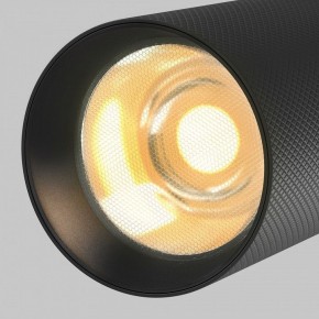 Светильник на штанге Maytoni Artisan TR097-2-12W2.7K-M-BB в Нефтекамске - neftekamsk.ok-mebel.com | фото 9