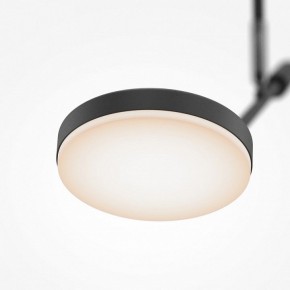 Светильник на штанге Maytoni Fad MOD070CL-L8B3K в Нефтекамске - neftekamsk.ok-mebel.com | фото 4