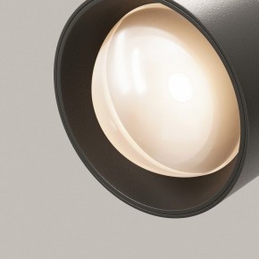 Светильник на штанге Maytoni Lens TR217-2-15W3K-B в Нефтекамске - neftekamsk.ok-mebel.com | фото 12