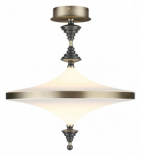 Светильник на штанге Odeon Light Ula 5404/43CL в Нефтекамске - neftekamsk.ok-mebel.com | фото 2