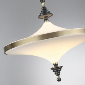 Светильник на штанге Odeon Light Ula 5404/43CL в Нефтекамске - neftekamsk.ok-mebel.com | фото 6