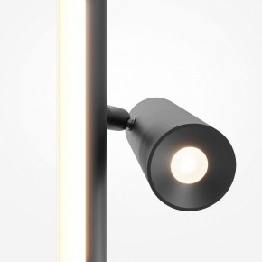 Торшер Maytoni Thin MOD395FL-L28B3K в Нефтекамске - neftekamsk.ok-mebel.com | фото 6