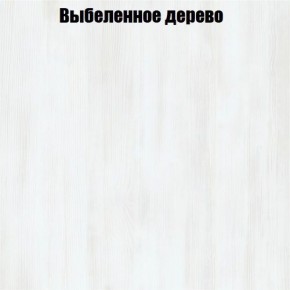 Вешало Лофт V12 в Нефтекамске - neftekamsk.ok-mebel.com | фото 4