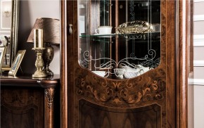 Витрина одностворчатая Илона (караваджо) в Нефтекамске - neftekamsk.ok-mebel.com | фото 5