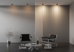 Встраиваемый светильник Maytoni Onda DL024-12W-DTW-BMG в Нефтекамске - neftekamsk.ok-mebel.com | фото 9