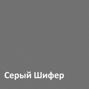 Юнона Шкаф торцевой 13.221 в Нефтекамске - neftekamsk.ok-mebel.com | фото 2